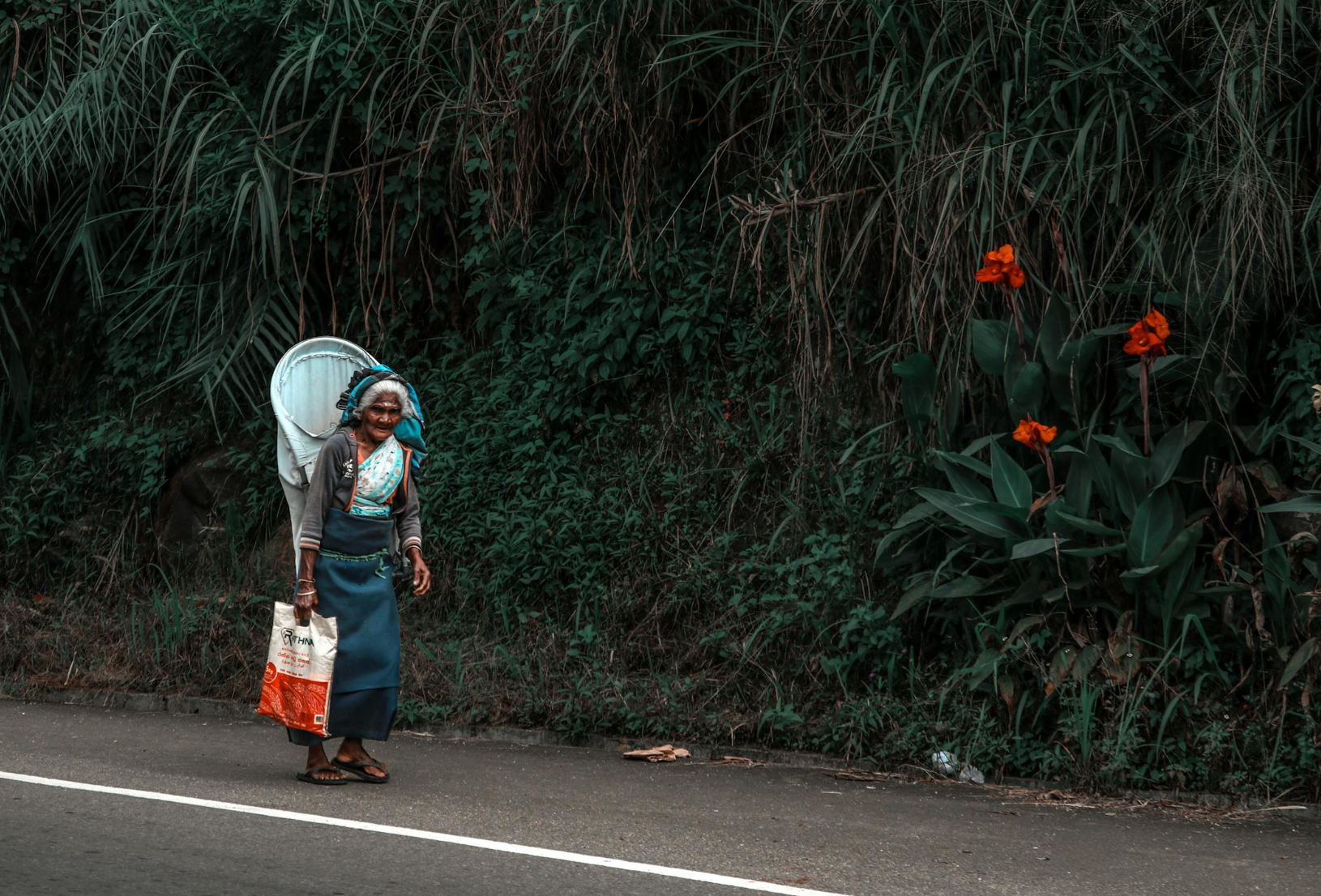 limba-sri-lanka.png