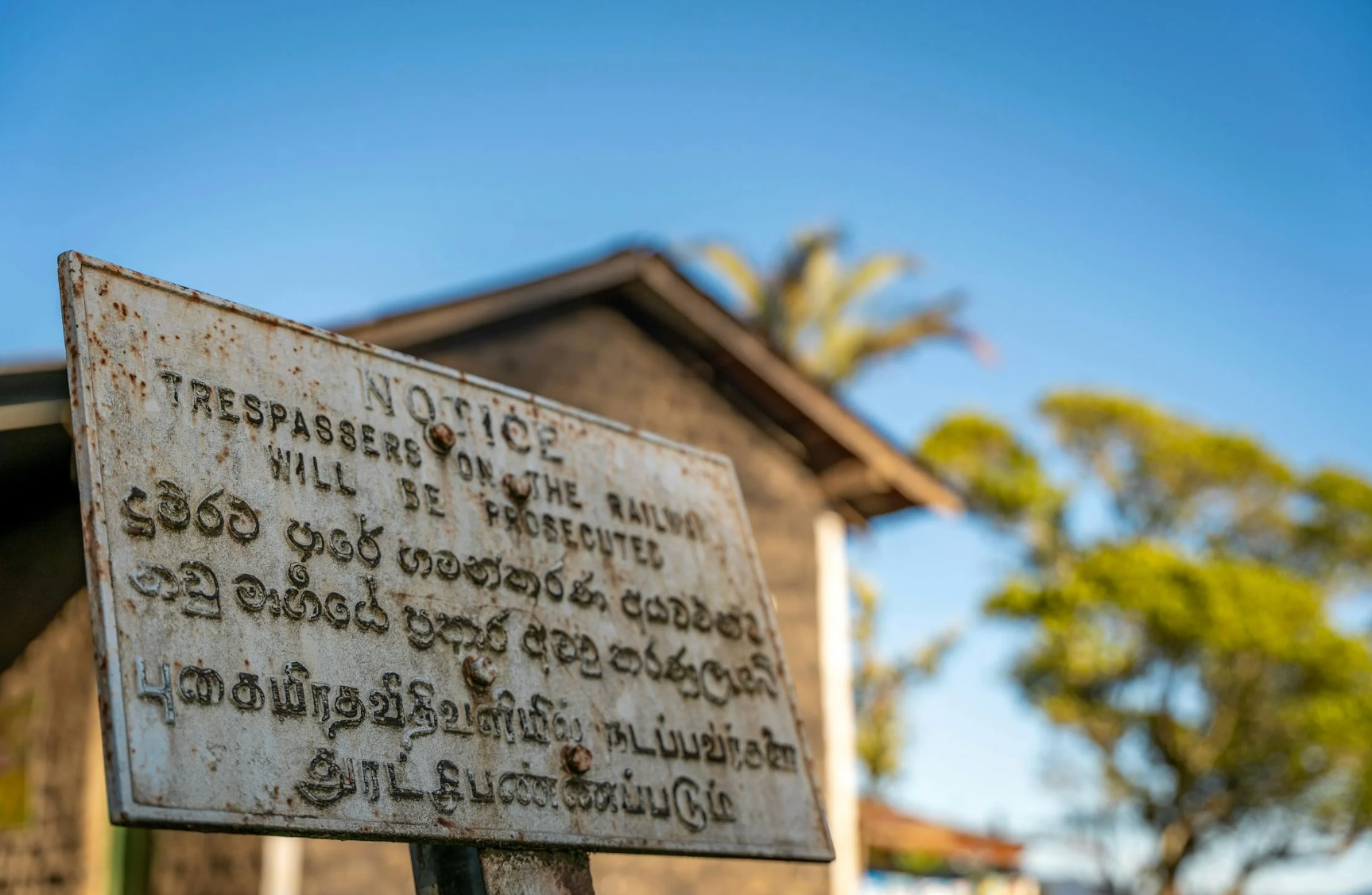 limbi-sri-lanka.png