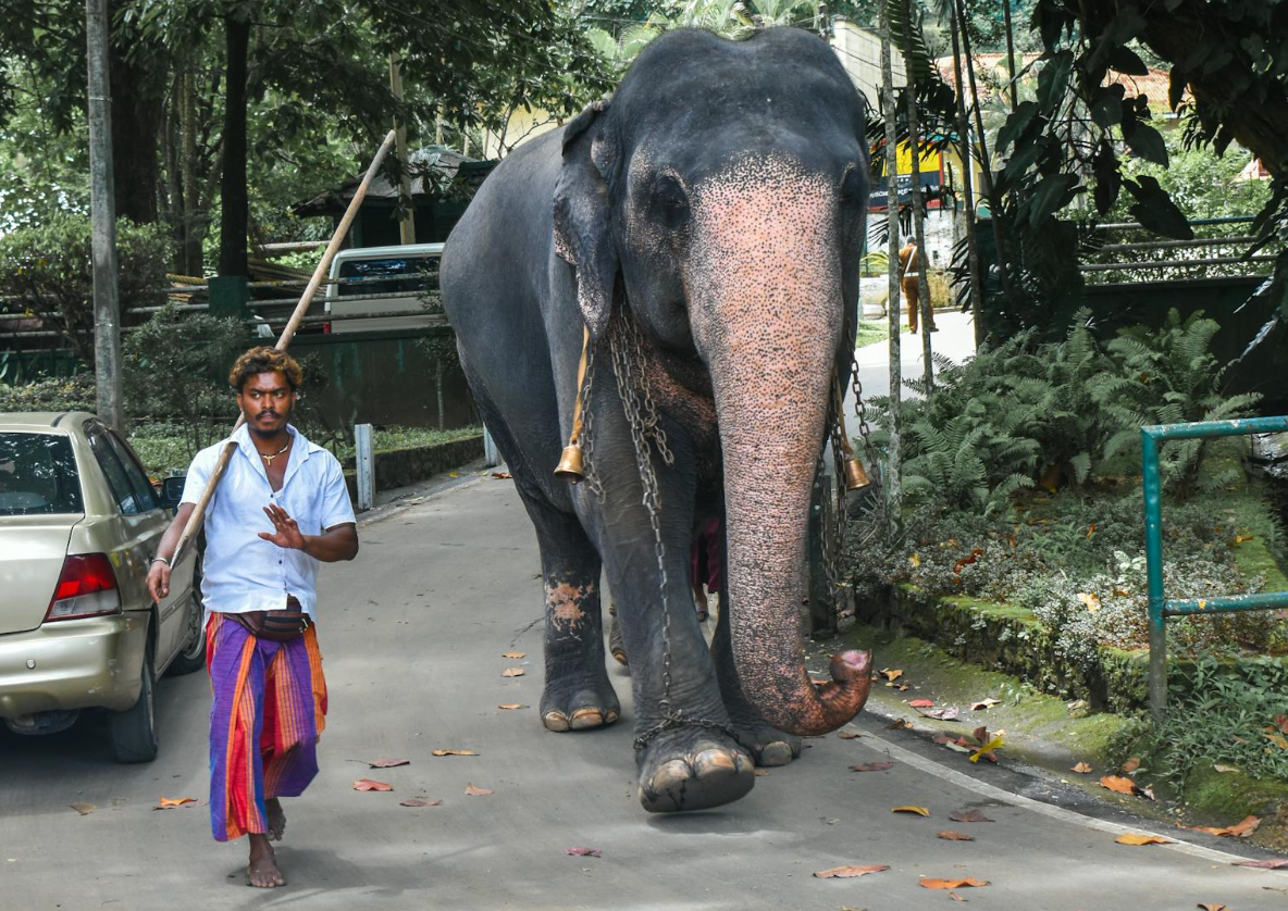 oamenii-din-sri-lanka.png
