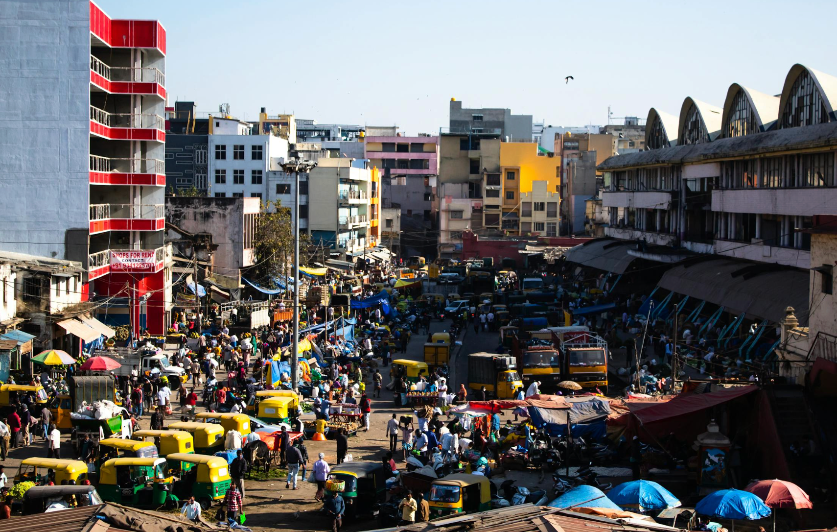 recensamant-india.png