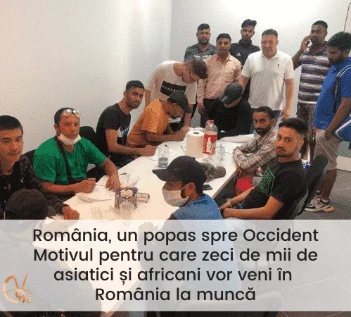 România, destinația preferată de muncă – Motivul pentru care zeci de mii de asiatici și africani vor veni în România să lucreze